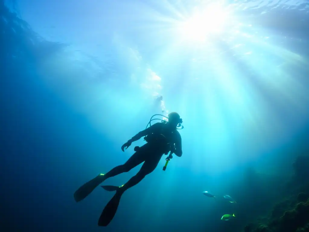 Imagen submarina de un buceador rodeado de peces, iluminado por la luz solar