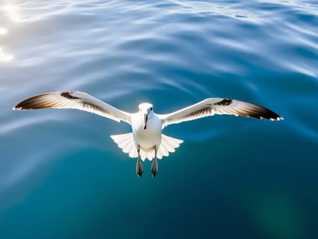 Un majestuoso albatros flota en aguas oceánicas cristalinas con sus alas extendidas, creando un ambiente sereno y la importancia de la salud oceánica