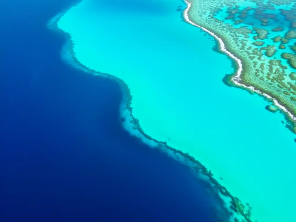 Vista aérea impresionante del océano con formaciones de coral y vida marina